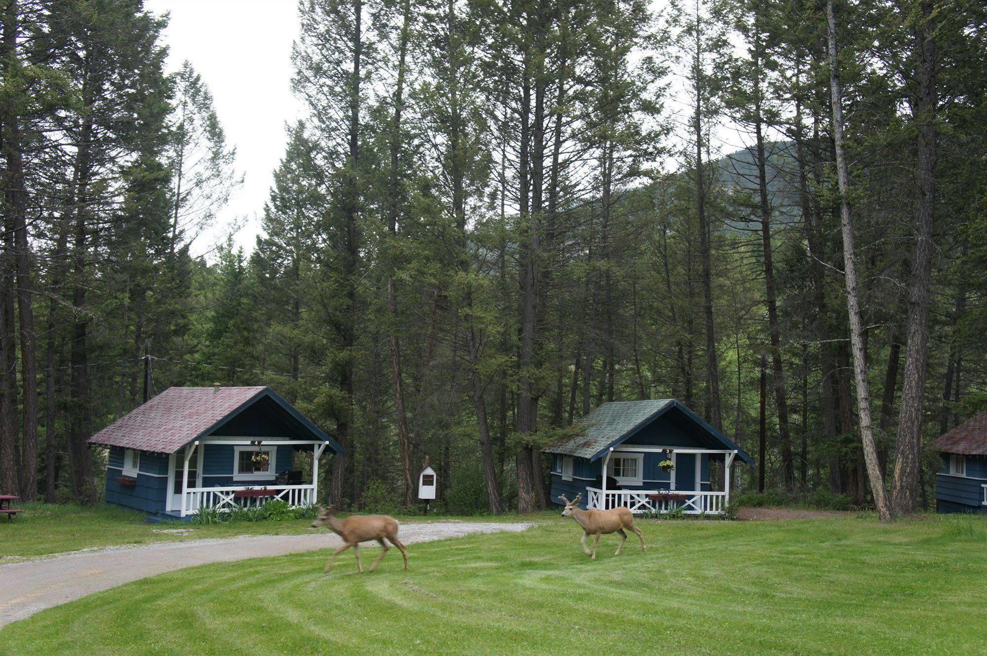 Fairmont Mountain Bungalows فيرمونت هوت سبرينغز المظهر الخارجي الصورة